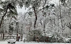 Wilde Moeflon, geniet van de vrije natuur!